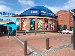 Cape Town: V&A Waterfront Heritage Audio Tour