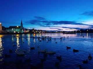 Reykjavik's Viking Age: A Private Walking Tour