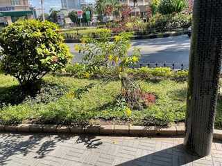 Dar es Salaam: Heritage Trail Audio Tour