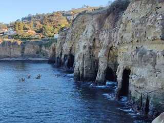 San Diego: La Jolla's Charms Audio Tour