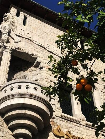 Discover the Exciting History of Soller