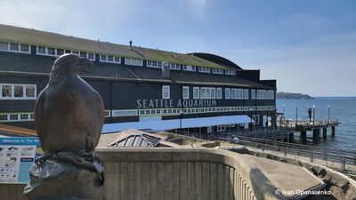 Seattle: Aquarium Entry Ticket & Downtown Landmarks Audio Tour