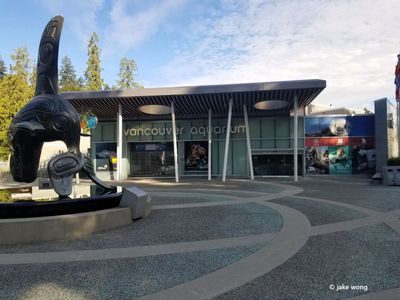 Vancouver Aquarium Ticket and an Audio Stroll Through Stanley Park