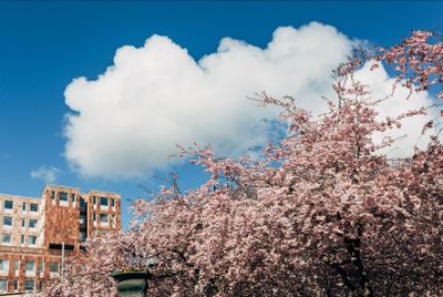 Stockholm: City Core to Slussen Audio Tour - photo 2