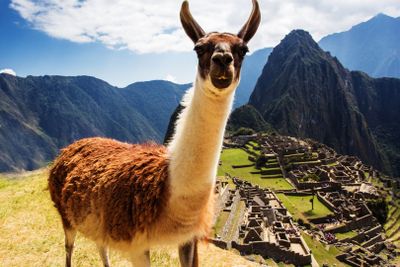 Cusco: Machu Picchu Audio Tour
