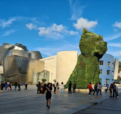 Bilbao: Guggenheim Museum Ticket & Artistic City Audio Tour