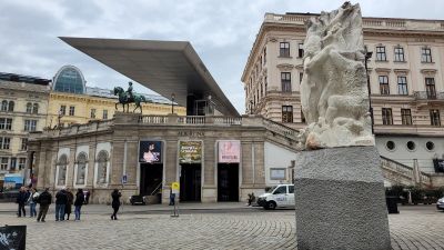 Vienna's Historic Highlights with St. Stephen Cathedral Ticket - photo 2