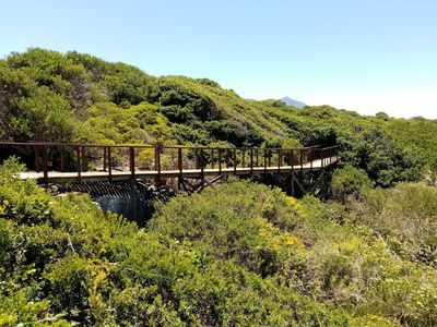 Hermanus: Coastal Wonders Audio Tour