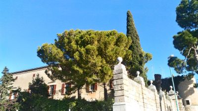 Vieste Walking Tour: Historic Charm and Natural Beauty