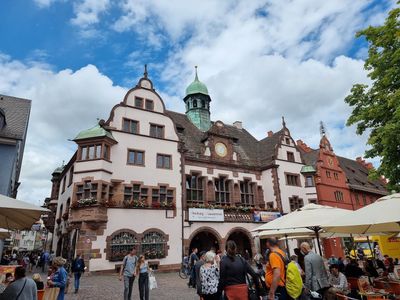 Freiburg: Marvels Unveiled Audio Tour