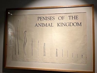 Explore Reykjavík's Secrets: A Self-Guided Audio Tour - photo 2