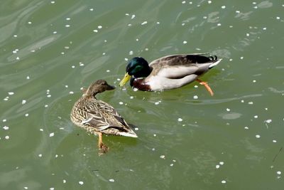 Washington, D.C.: Tidal Basin Treasures Audio Tour - photo 2