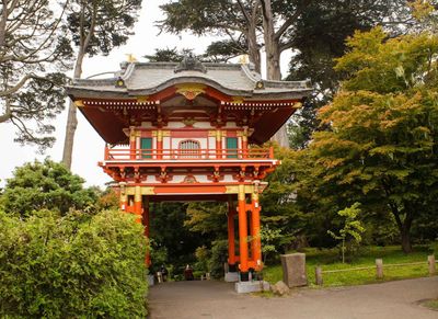 San Francisco: Golden Gate Park Audio Tour - photo 2
