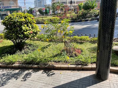 Dar es Salaam: Heritage Trail Audio Tour