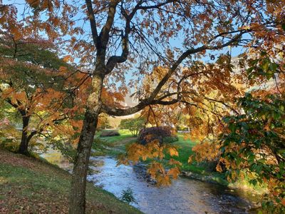 Baden-Baden: Historic Elegance Audio Tour