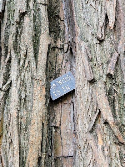 Louisville's Victorian Era Exploration Audio Tour - photo 2