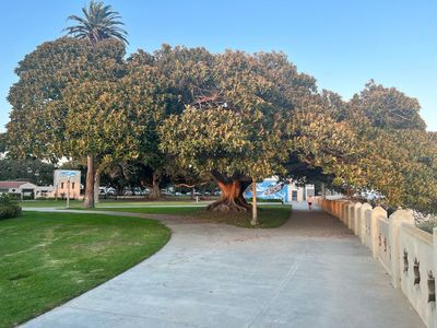 San Pedro: Historical Audio Tour - photo 2