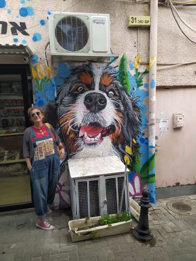 Shuk Ha-Carmel and Kerem Taymanim