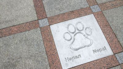 Vladivostok: Whispering Myths Audio Tour