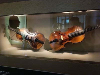 Vienna: Mozarthaus Ticket & Old Town Walking Tour - photo 2