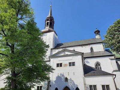 Tallinn's Timeless Tales: A Medieval Walking Tour - photo 2
