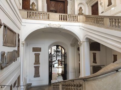 Vienna: Museum of Illusions Ticket & City Highlights Audio Tour - photo 2