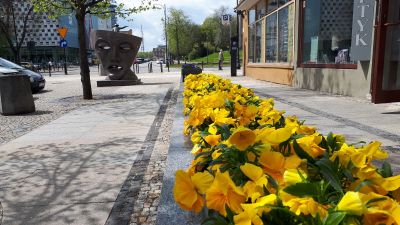 Explore Białystok: Market Square, Sacred Sites, and Branicki Palace - photo 2