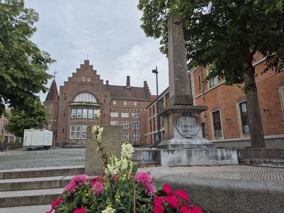 Aalborg: Self-Guided Audio Tour Through Fjord and Time