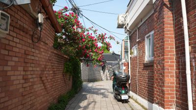 Suwon with a Local: Hwaseong Fortress and Beyond - photo 2