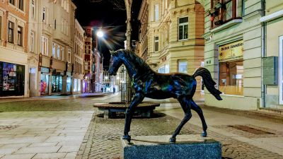 Halle: Harmonic Heritage Audio Tour - photo 2