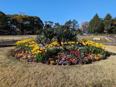 Tokyo: Imperial Echoes Audio Tour - photo 2