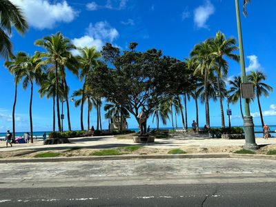Waikīkī Walking Tour: Hawaiian Royal Heritage - photo 2