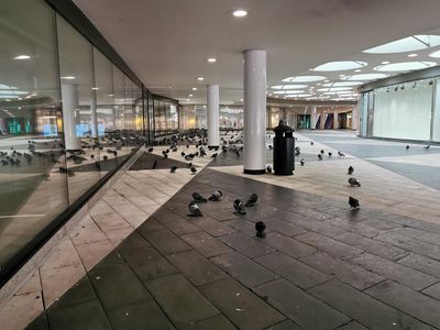 Stockholm's Pulse: Historic Core Audio Tour - photo 2