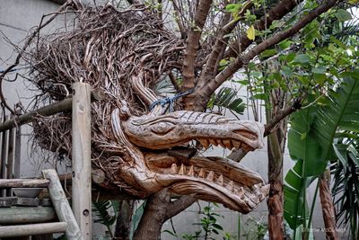 Cape Town: Walmer Estate & Woodstock Suburbs Audio Tour