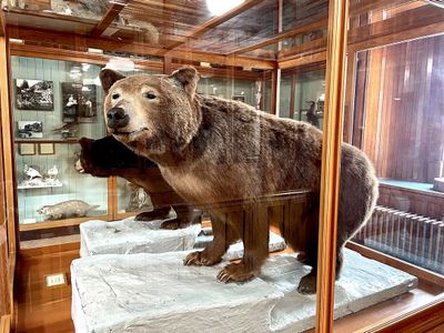 Banff: Hidden Gems Unveiled Audio Tour - photo 2