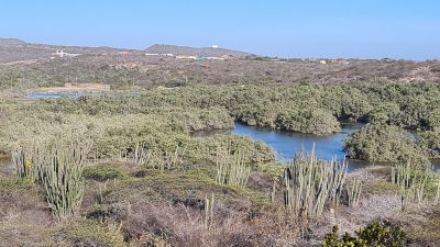 Aruba: Audio Tour from Airport to Chapel