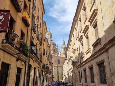 Salamanca Walking Tour: From Ancient Schools to Royal Palaces - photo 2