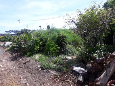 Cape Town: Walmer Estate & Woodstock Suburbs Audio Tour - photo 2