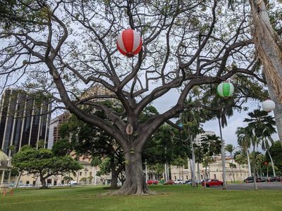 Honolulu: Echoes of History Audio Tour