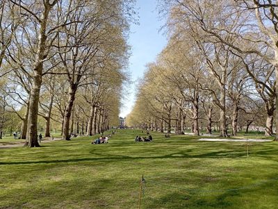 London: St James's Regal Elegance Audio Tour - photo 2