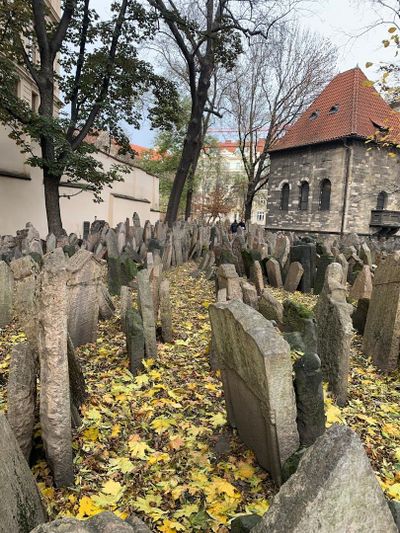Explore Prague's Heart: In-App Audio Castle Tour