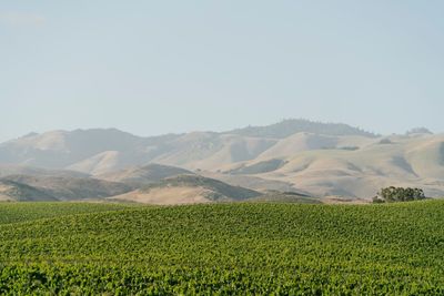San Luis Obispo: Downtown Secrets Audio Tour - photo 2