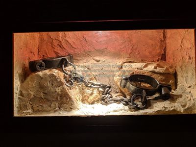 Cape Town: Echoes of the Past Audio Tour - photo 2