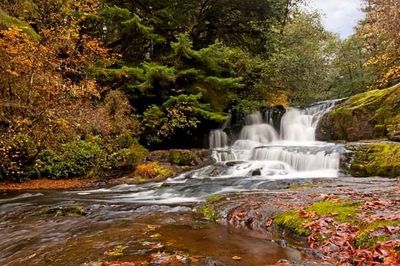 Roseburg: Echoes of History Audio Tour - photo 2