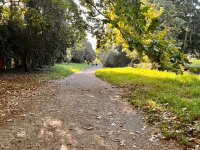 Cape Town: Enchanted Gardens Audio Tour