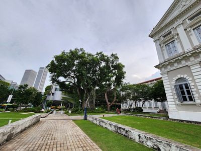 Singapore: Bras Basah Bugis District Audio Tour - photo 2