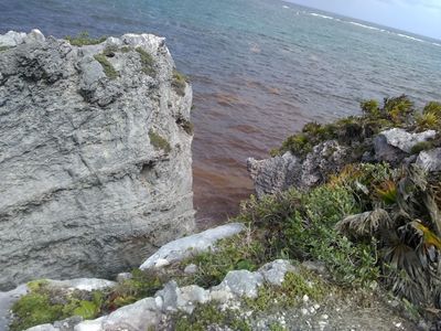Tulum: Ancient Echoes Audio Tour - photo 2