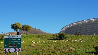 Cape Town: Nautical Secrets Audio Tour - photo 2