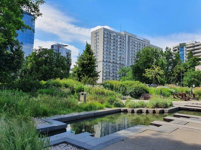 Warsaw Jewish Heritage: A Private Walking Journey