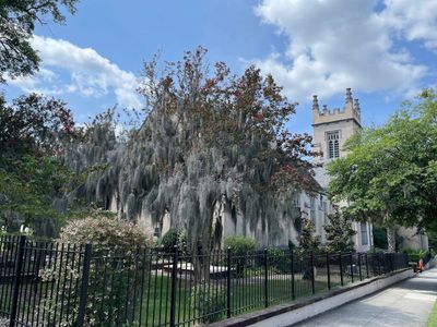 Wilmington: Eerie Nights Haunted Audio Tour - photo 2